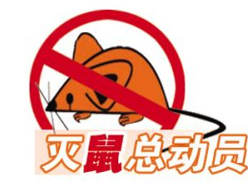 [滅鼠公司]-如何快速滅鼠，怎樣快速滅鼠